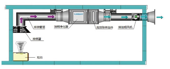 爱优特为上海迪士尼乐园提供空气净化解决方案