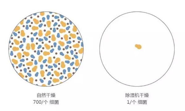 【推荐】除湿、除尘、除甲醛，这台除湿机全搞定！