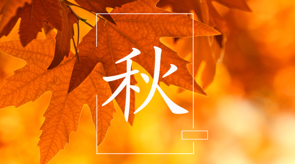 【原创】秋高气爽 天干物燥 瑞芬德送您一款“蒸汽加湿”神器