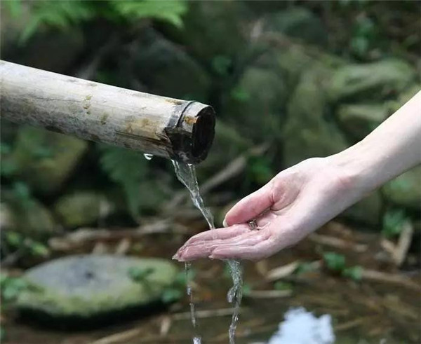放过你的身体 别再拿它做“脏水”过滤器了