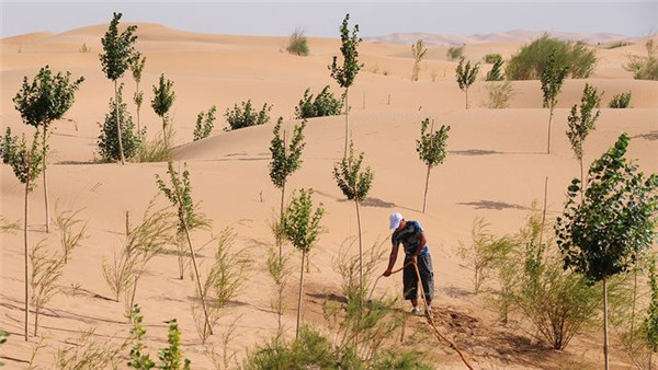 碧源达：植树与清洁取暖 都是环保的绿色能量