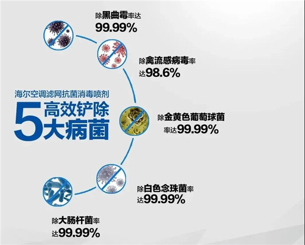愿世界的美好 与你环环相扣