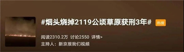 格瑞宁：喜鹊叼烟头不料烧了自己的窝……