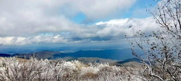 REDWOOD：初雪降 天愈寒 安全采暖不能忘