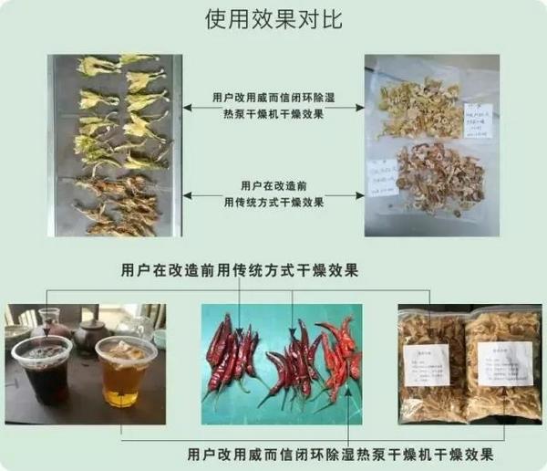 存放食用菌 干燥是关键