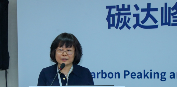 碳达峰与壁挂炉行业发展暨技术研讨会在京成功召开