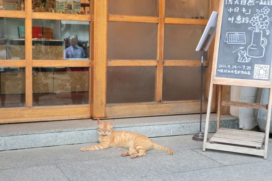 东芝空调×北山居丨这家艺术酒店长得像一道谜面