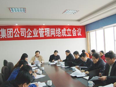 管理+网络=效率 双良企业管理网络成立
