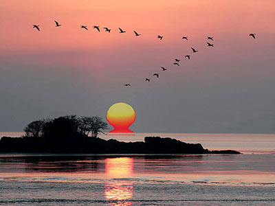 浅析：太阳能热水器从农村迈向乡下(图)