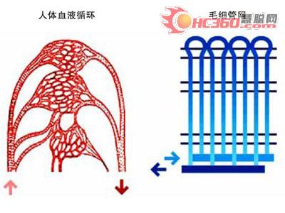 介绍毛细管网地板采暖系统原理与优点