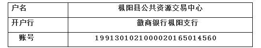 预算450万 枞阳县人民法院审判法庭空调设备招标