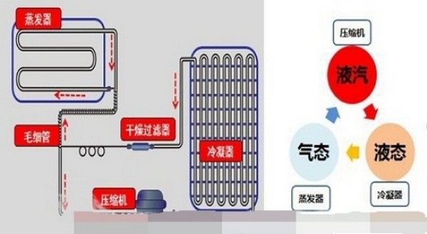 为什么冰箱制冷时两边会发热呢?