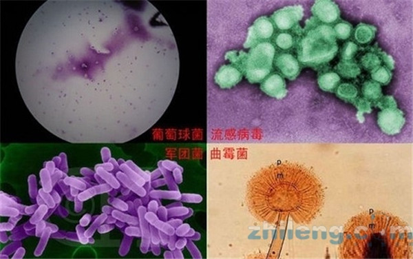 中央空调不用清洗?这些误区需要改变