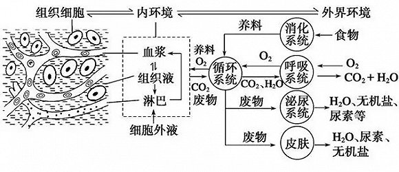 你以为用了净水器就能高枕无忧吗？