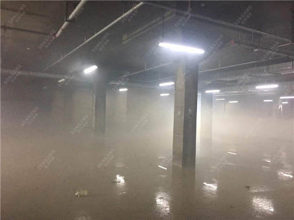 潮乎想象！走进地下车库，仿佛进了热带雨林……